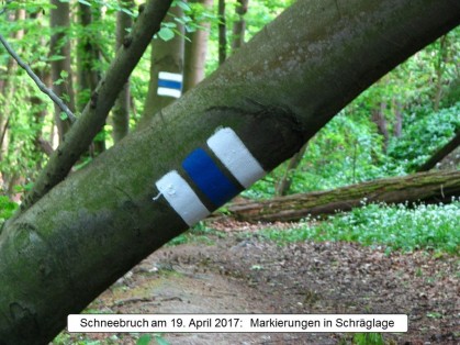 schneebruch20170419-002.jpg
